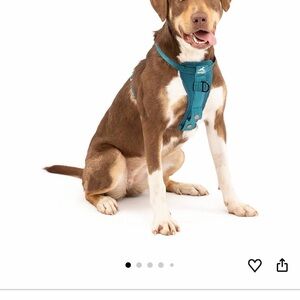 Crash Proof Tested 2 in 1 Dog Harness